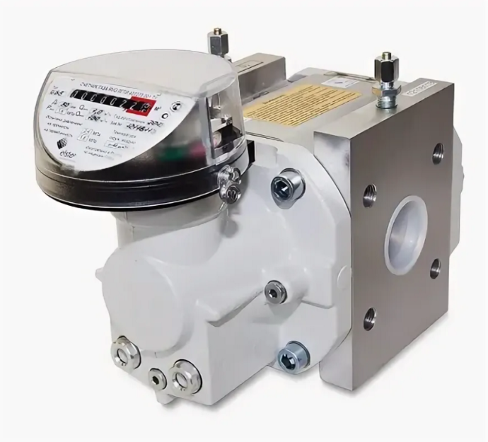 RVG-G65 Промышленный счетчик газа RVG-G65